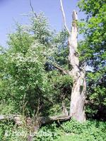 Naučná stezka KOTVICE