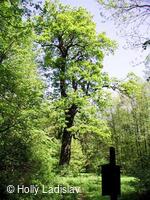 Naučná stezka KOTVICE