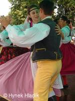 Libín - S, folklorní sdružení