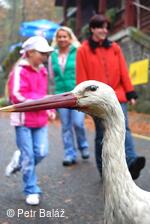 Perníkiáda s VŘSR 2008