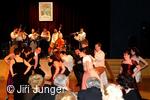 Ples perníku aneb Perníkářský bál 2011