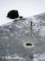 * Z DĚNÍ VE MĚSTĚ