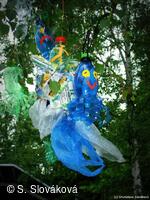 * Z DĚNÍ VE MĚSTĚ