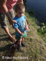 * Z DĚNÍ VE MĚSTĚ