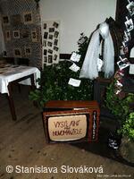 * Z DĚNÍ VE MĚSTĚ